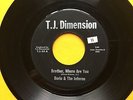 Dario & The Inferno PSYCH FUNK 45 Brother Where Are You on T J Dimension HEAR W6