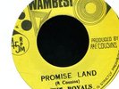 013 ROYALS-PROMISED LAND-WAMBESI- REGGAE 45 7