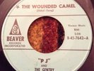 PJ And The Gentry Garage 45 The Wounded Camel Beaver Records Garage Psych