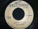 THE WAILERS - SIMMER DOWN   (Ska)  45