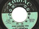 Northern Soul 45 RUBY ANDREWS 