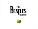 The Beatles In Mono 14LP Vinyl Box Set Limited Edition