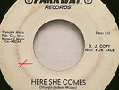 RARE NORTHERN SOUL PROMO 45/ THE TYMES 