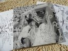 BJORK Vespertine 2x12 LP Original 2001 UK Press RARE w/ Inserts ( Polydor ) MINT