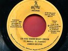 JIMMIE DELPHS rare DO YOU KNOW WHAT I MEAN 45 Modern Detroit Soul & Funk mp3