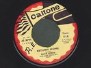 ALVA LEWIS return home RARE SKA 45 on CALTONE