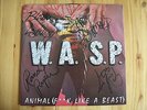 WASP Animal (F**k like a beast) 12