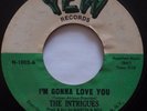 THE INTRIGUES: I’m Gonna Love You YEW NORTHERN SOUL 45 hear it