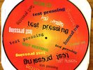 Blink 182 Test Pressing for Buddha 12
