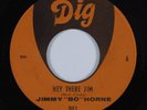Funk 45 JIMMY BO HORNE Hey There Jim DIG VG++ HEAR