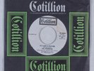 Sweet Soul 45 INTREPIDS It's Just A Picture COTILLION NM HEAR