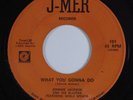 R&B/Deep Soul 45 JOHNNIE JACKSON & BLAZERS What You Gonna Do J-MER HEAR