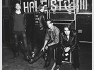 Into The Wild Life - 3 DISC SET - Halestorm (2015, Vinyl New) Explicit Version
