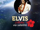 BUCH Elvis Presley Aloha Via Satellite. 440 Seiten Hawaii 1973 + Bonus Foto From