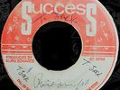 RARE BLACK ARK RISE & FALL LEE PERRY LISTEN  ***