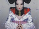 Björk - Homogenic (Coloured Vinyl) Vinyl LP + Digital NEU 0351857