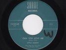 '60 W Coast DooWops LITTLE SAMMY/Grp Can You Love Me/Papa Did Chicken SHADE HEAR
