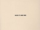 Arctic Monkeys - Suck It And See Vinyl EU LP