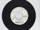 UPSETTER/BABYLON DEH PON FIRE  -  TRUTH  FACT  AND CORRECT  (76 REGGAE ROOTS 7