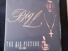 Big L - The Big Picture 2LP Vinyl 12