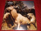 INTERPOL Our Love To Admire 2 LP Very Rare OOP