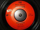GARAGE SURF - THE NATION ROCKING SHADOWS - ANESTHESIA - 1960's Florida RARE