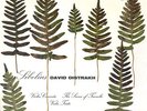 Philips SABL195 - Sibelius - Violin Concerto - David OISTRAKH - Eugene ORMANDY