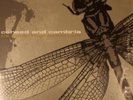 COHEED AND CAMBRIA Second Stage Turbine Blade NM LP Vinyl SHRINK evr114 Q-311