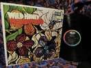 1967 TOP M- SHRINK The Beach Boys WILD HONEY Breezy Harmonies UNDERESTIMATED LP