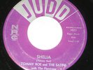 Tommy Roe & The Satins 7