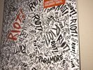 Paramore Rare OOP Vinyl Set (RIOT, All We Know Is Falling and Brand New Eyes)