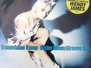 Transvision Vamp Sister Moon MCA 12