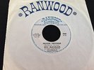 Rick McClellan on Ranwood  FROZEN SUNSHINE LE BEAT BESPOKE MOD PSYCH 45  hear