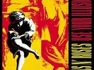 Guns n' Roses - Use Your Illusion I - 180g Double Vinyl LP + MP3 Download