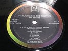 INTRODUCING THE BEATLES rare 45 rpm size label variant VEE JAY VJ