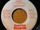 7” SANDY'S GANG -Hungry- PATRICK ADAMS Rare ’76 Disco Boogie Modern Funk Soul 45