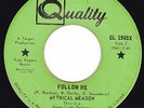 Canada Psych Rock 45 - MYTHICAL MEADOW - Follow me / The Day Has Come