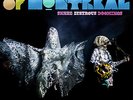 Of Montreal Snare Lustrous Doomings 12