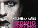 HEDWIG AND THE ANGRY INCH 12