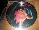 black sabbath paranoid picture disc