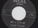 CHUBBY RICHARD Just A Little Bit 45 on Neal M- rare Texas R&B soul HEAR