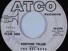 Northern R&B Mod Soul 45 DEL-RAYS Fortune Teller ATCO HEAR