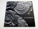 The Sundays - Reading, Writing And Arithmetic - 1990 Vinyl Picture Disc LP