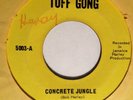 BOB MARLEY & WAILERS - concrete jungle b/w nice time - TUFF GONG 45