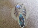 NEIL THE YOUNG ONES HOLE IN MY SHOE UNPLAYED FROM NEW PICTURE SHAPED DISC