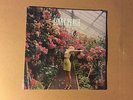 WOLF ALICE - GIANT PEACH  - 7