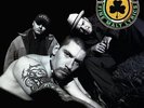 HOUSE OF PAIN**HOUSE OF PAIN (180G)**VINYL