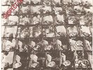 STIFF LITTLE FINGERS SUSPECT DEVICE RIGID DIGITS WHITE LABEL 7