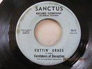 KILLER DEMENTED PSYCH PUNK MASTERPIECE 45 ;CARETAKERS OF DECEPTION; CUTTIN GRASS