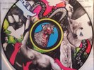 Yeah Yeah Yeah's - Fever To Tell LP. Out Of Print Picture Disc. Very Rare